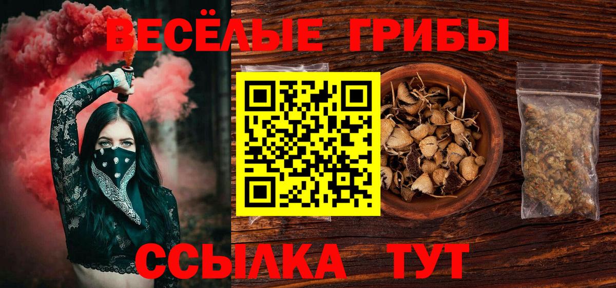 Когалым  Псилоцибиновые грибы MAGIC MUSHROOMS  Псилоцибиновые грибы Magic Shrooms  Вход с VPN 